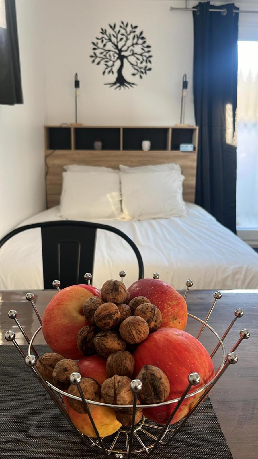 Studio Aux Pieds Des Vignes Eguisheim Ngoại thất bức ảnh